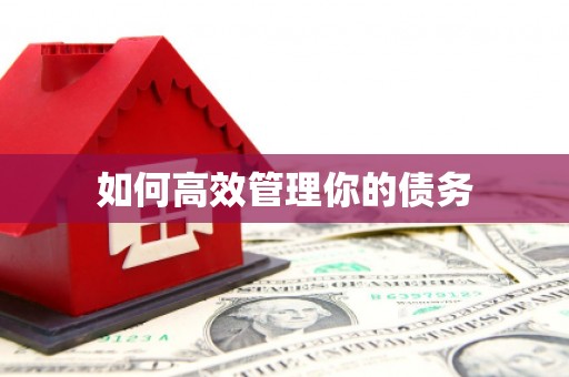 民雄如何高效管理你的债务