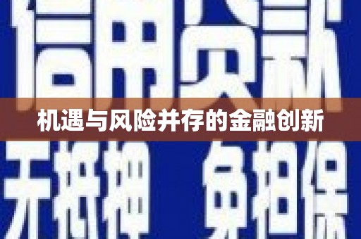 民雄机遇与风险并存的金融创新