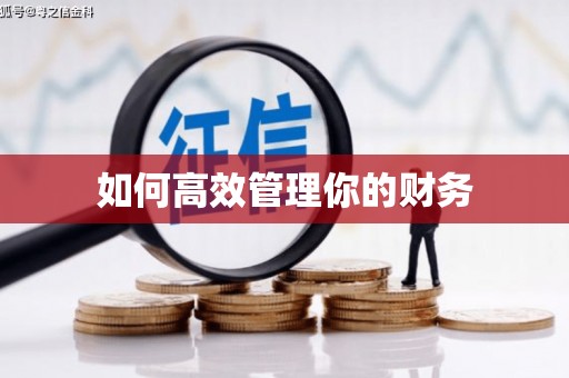 民雄如何高效管理你的财务