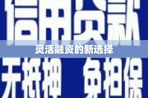 民雄灵活融资的新选择