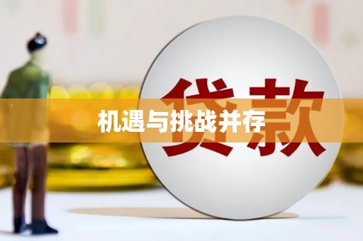 民雄机遇与挑战并存