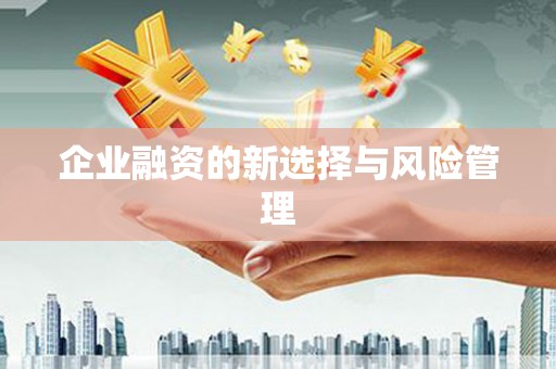 民雄企业融资的新选择与风险管理