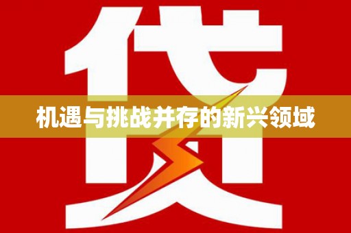 民雄机遇与挑战并存的新兴领域