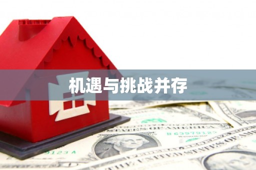 民雄机遇与挑战并存