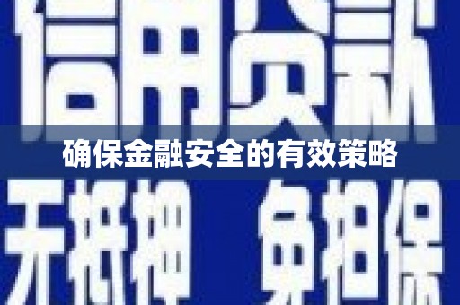 民雄确保金融安全的有效策略