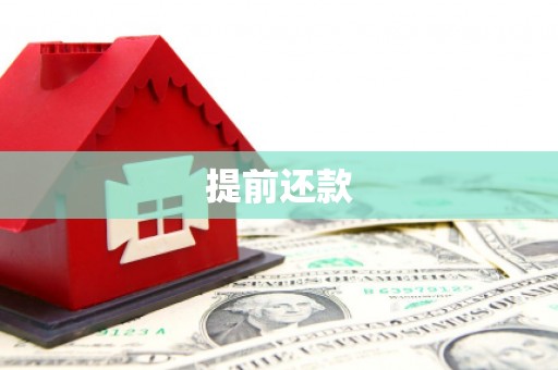 民雄提前还款