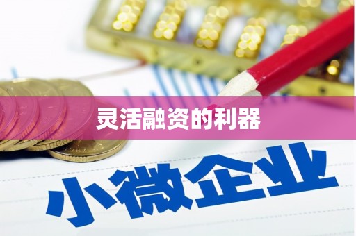 民雄灵活融资的利器