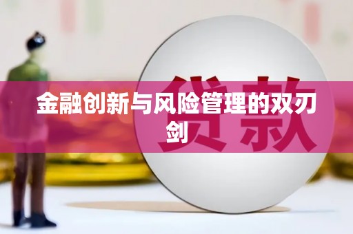 民雄金融创新与风险管理的双刃剑