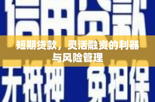 民雄短期贷款，灵活融资的利器与风险管理