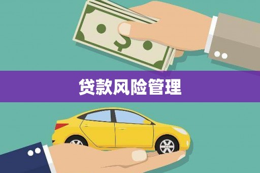 民雄贷款风险管理