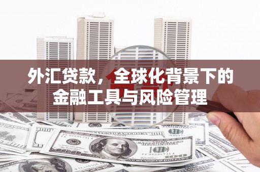 民雄外汇贷款，全球化背景下的金融工具与风险管理