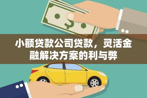 民雄小额贷款公司贷款，灵活金融解决方案的利与弊
