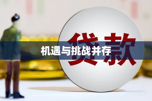 民雄机遇与挑战并存
