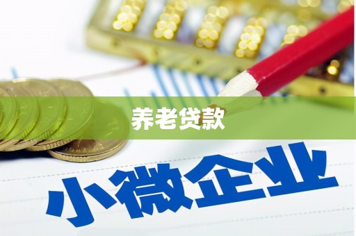 民雄养老贷款