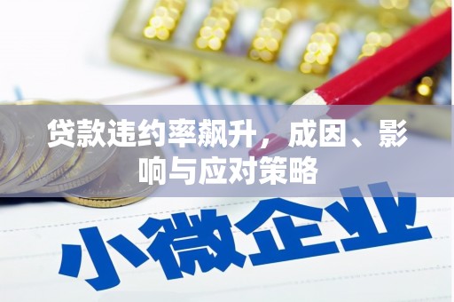 民雄贷款违约率飙升，成因、影响与应对策略